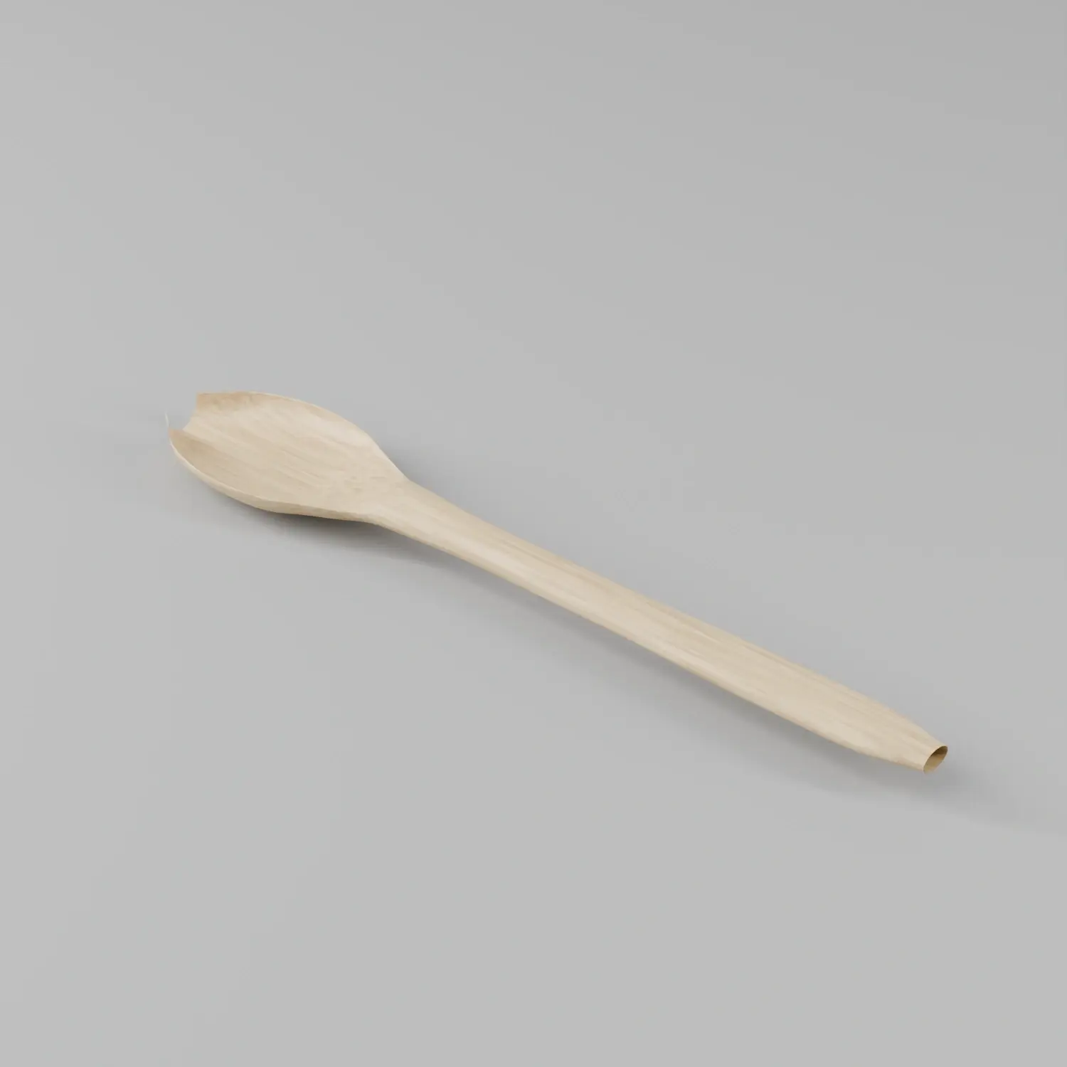 Wooden Spoon for Salt Scrub seen from above and to one side